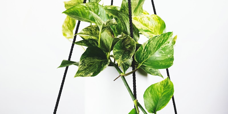 阿根廷国家足球队队长梅西在比赛中带球突破防守球员